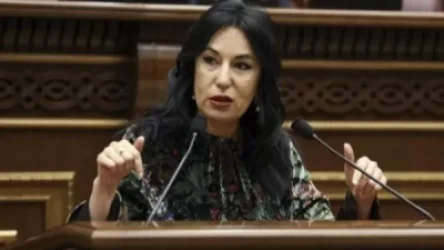 Նաիրա Զոհրաբյանը ԵԱՀԿ/ԺՀՄԻԳ-ից պահանջում է Նիկոլ Փաշինյանի վարքագծի վերաբերյալ դիրքորոշում հայտնել