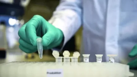 ՌԴ ՊՆ-ն ծամոնի տեսքով դեղամիջոց է ստեղծում` Covid-19-ի դեմ