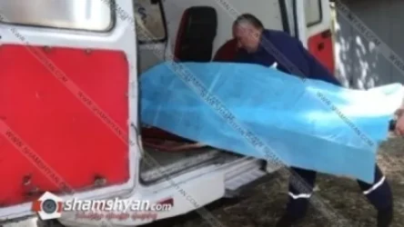 Երևանում էլեկտրահարված 12-ամյա տղան մահացել է, իսկ 11-ամյա տղան գտնվում է ծայրահեղ ծանր վիճակում