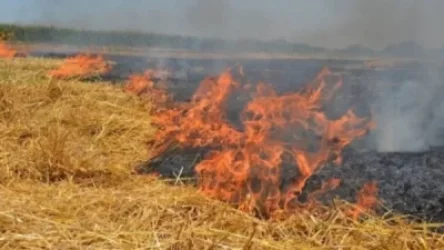 Հերթական ահազանգը` խոտածածկ տարածքների դիտավորյալ այրման մասին. ՇՄՆ