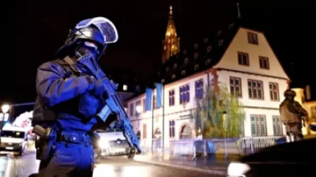 Ստրասբուրգում հանցավոր խմբի անդամներ են ձերբակալվել. նրանց թվում հայեր և վրացիներ կան