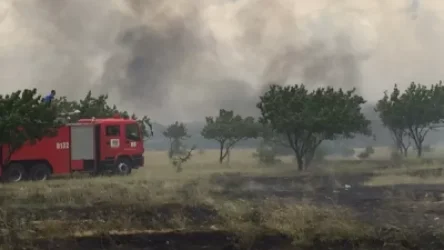 Այրվել է 10 հեկտար խոտածածկ տարածք և 4 հեկտար շինարարական աղբ