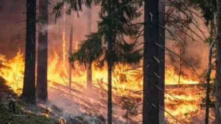 Խոշոր հրդեհ` Ֆիզուլիի ականապատ անտառում