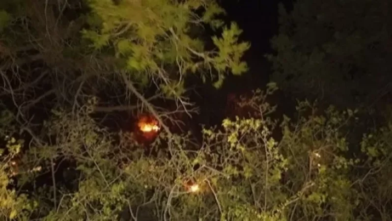 ‹‹Խոսրովի անտառ›› պետական արգելոցում հրդեհի օջախը մեկուսացվել է. տարածման վտանգ այս պահին չկա