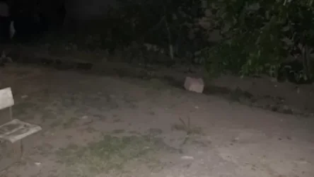 ՏԵՍԱՆՅՈՒԹ. Դանակահարություն Ավզանում. վեճի թեման ավելի քան արդիական էր` խմելու ջուրը կտրել էին