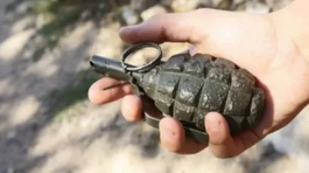 ՏԵՍԱՆՅՈՒԹ. Բերման է ենթարկվել նռնակով շրջող տղամարդը