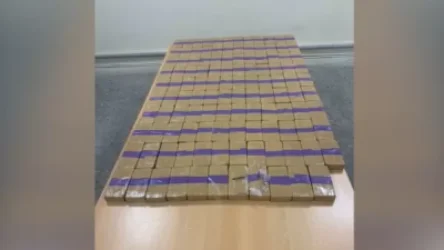 ՏԵՍԱՆՅՈՒԹ․ Իրանից Հայաստան ժամանած բեռնատարում, որի վարորդը եղել է թուրք, հայտնաբերվել է 97 կգ «Հերոին» տեսակի թմրամիջոց