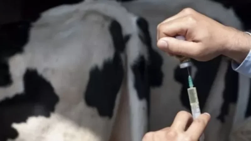 Բարձր պատասխանատվությամբ մոտեցեք գյուղատնտեսական կենդանիների պատվաստումներին. Գյուղատնտեսական ծառայությունների կենտրոն