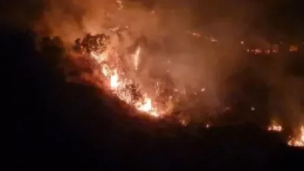 ՏԵՍԱՆՅՈՒԹ. Կիպրոսում անտառային հրդեհների հետևանքով 4 մարդ է զոհվել