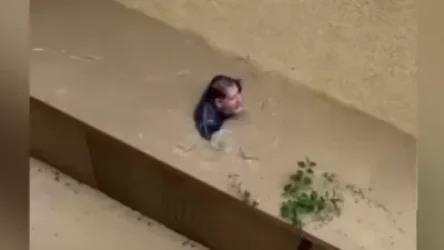 ՏԵՍԱՆՅՈՒԹ․ Հորդառատ անձրևների հետևանքով ջրի կրիտիկական մակարդակ է գրանցվել Սոչիում․ տների կեսից ավելին ջրի տակ է