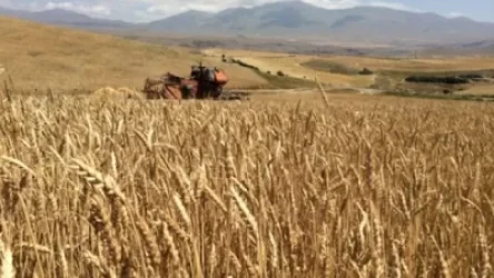 Գյումրի-Երևան ճանապարհը կրկին փակ է, օրեր հետո այլևս անիմաստ կլինի ոռոգում կազմակերպել․ Սոֆյա Հովսեփյան