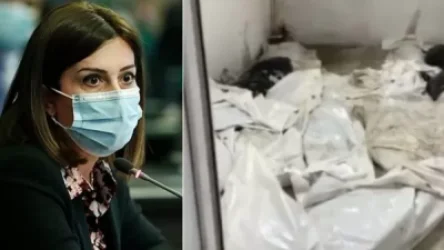 Դիերի մի մասը զինծառայողների ծնողներն ու հարազատներն արդեն վերցրել են. Ավանեսյան