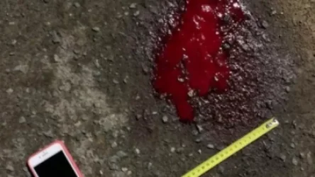 Ադրբեջանցին մեխահանով սպանել է ռուսաստանցուն