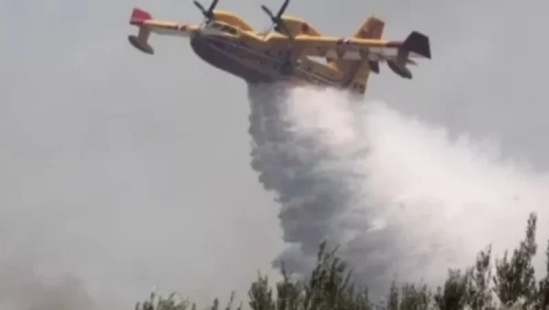 Հունաստանում 24 ժամում 58 անտառային հրդեհ է գրանցվել