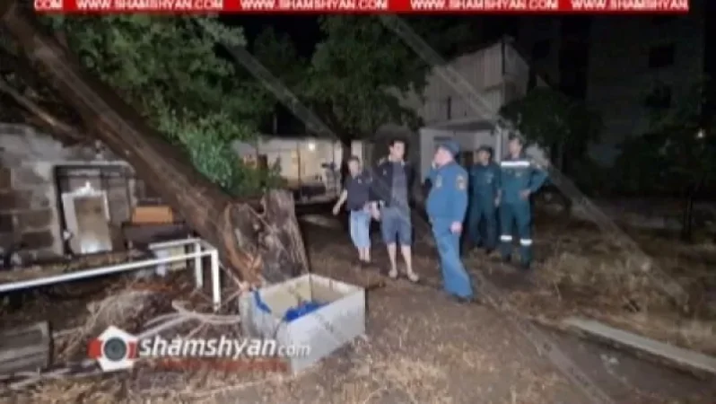 Արտակարգ դեպք Երևանում․ Արաբկիր վարչական շրջանում հսկայական թթենին կոտրվել և ընկել է շինության վրա