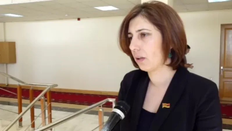 Սա ամենաանբարոյական քայլն էր. Սոֆյա Հովսեփյանը՝ աղմկահարույց նախագծի մասին․ «Փաստինֆո»