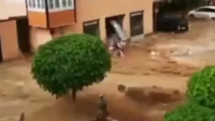 ՏԵՍԱՆՅՈՒԹ. Եվրոպան՝ ջրի մեջ. հեղեղվել է Ավստրիան