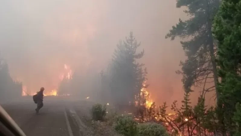 Photos: Wildfires Rage in the U.S. Destroying Over 470,000 Hectares