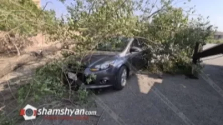 Հերթական ծառը արմատից տապալվել և ընկել է ավտոմեքենայի վրա