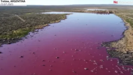 ՏԵՍԱՆՅՈՒԹ․ Ծովածոցի վարդագույնը բնակիչների շրջանում տագնապ է առաջացրել