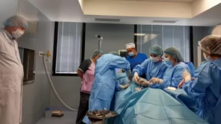 Առաջին անգամ ոսկրածուծի ալոգեն փոխպատվաստում է կատարվել. 2 հիվանդները Աֆրիկայից են