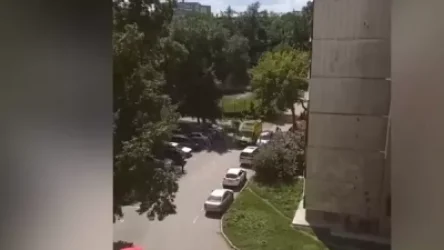 ՏԵՍԱՆՅՈՒԹ. Կինը 7-րդ հարկի պատուհանից դուրս է նետել իր երեք ամսական դստերը