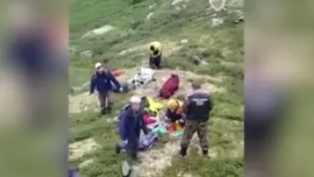 ՏԵՍԱՆՅՈՒԹ․ ՌԴ-ում արջը հարձակվել է զբոսաշրջիկների վրա․ կա զոհ