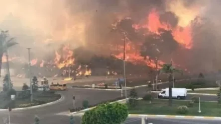 ՏԵՍԱՆՅՈՒԹ. 58 հրդեհ է բռնկվել Թուրքիայի ավելի քան 17 քաղաքներում. հայտնի է 4 զոհի մասին