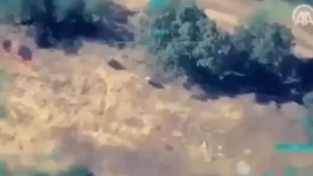 ՏԵՍԱՆՅՈՒԹ.  Անօդաչուն ցույց է տվել, թե ինչպես են տղամարդիկ հրկիզում ծառերը