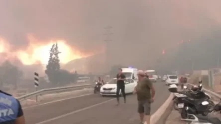 Global News-ի ռեպորտաժը Թուրքիայից. հրդեհներից տուժել է մոտ 80 բնակավայր