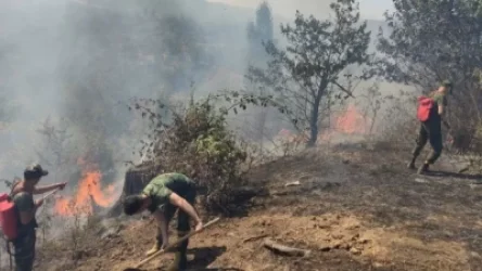 Ադրբեջանում նույնպես հրդեհ է բռնկվել․15 հեկտար մակերեսով տարածք է այրվում