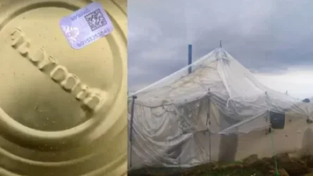 «Միշտ խոնավ վրաններ ու ժամկետն ավարտվող տուշոնկա, ձեր բանակի բարեփոխումներն ու կլուբնիկն ո՞ւր ա»․ Արմեն Գևորգյան