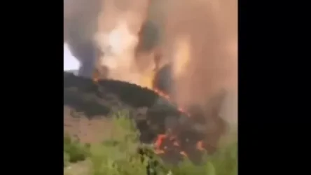 ՏԵՍԱՆՅՈՒԹ. Հրդեհի նոր օջախ Թուրքիայում