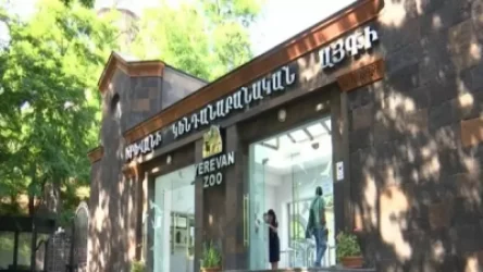 Քաղաքապետարանը պարզաբանել է, թե ինչու է կենդանաբանական այգու նախկին տնօրենը ազատվել է աշխատանքից