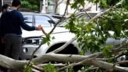 Վանաձորում ծառն ընկել է կայանված ավոտեմեքենաների վրա