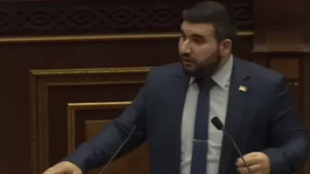 Ամենահայհոյված իրը «պազիկն» է եղել, որը զինվորին բերել է զորամաս. ՔՊ–ականը՝ Սեյրան Օհանյանին