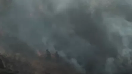 ՏԵՍԱՆՅՈՒԹ. Հրդեհ՝ Մյասնիկյան պողոտայում