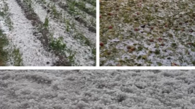 Այս պահին հաշվարկվում է Գեղարքունիքում կարկուտի հետևանքով կրած վնասի չափը․ Նարեկ Մանուկյան. MediaHub