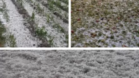 Այս պահին հաշվարկվում է Գեղարքունիքում կարկուտի հետևանքով կրած վնասի չափը․ Նարեկ Մանուկյան. MediaHub