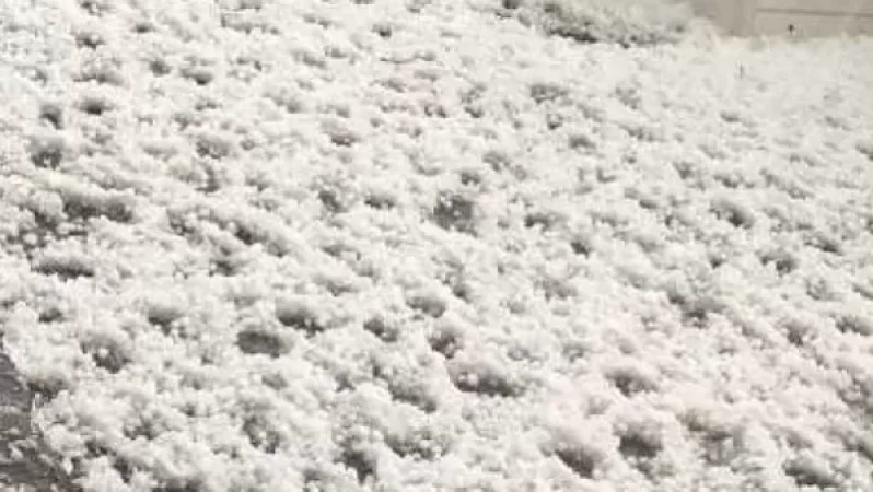 Hail Devastates 100% of Crops in Lusakunk and Dzovak