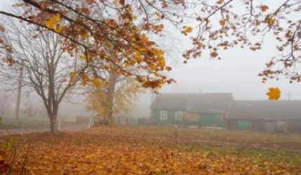 Օդի ջերմաստիճանը կնվազի. եղանակի տեսություն