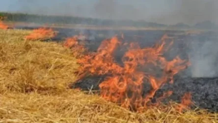 Արցախում ադրբեջանական կրակոցներից 3 հեկտար մակերեսով խոտածածկ է հրդեհվել