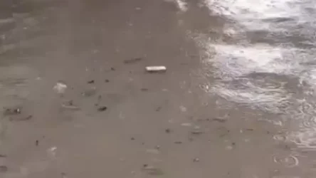 ՏԵՍԱՆՅՈՒԹ. Տեղատարափ անձրևի հետևանքով ճանապարհները դարձել են գետեր