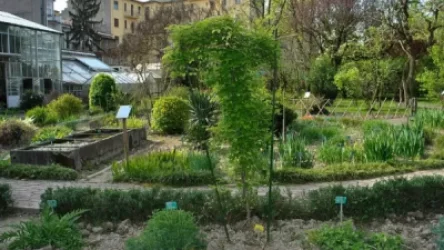 Հրդեհ Երևանի Բուսաբանական այգում