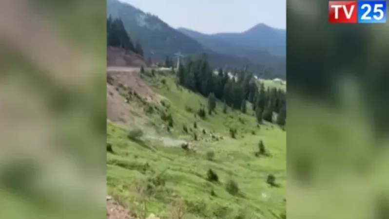 Video: A Car Carrying Foreigners Has Plunged Into a Gorge in Georgia