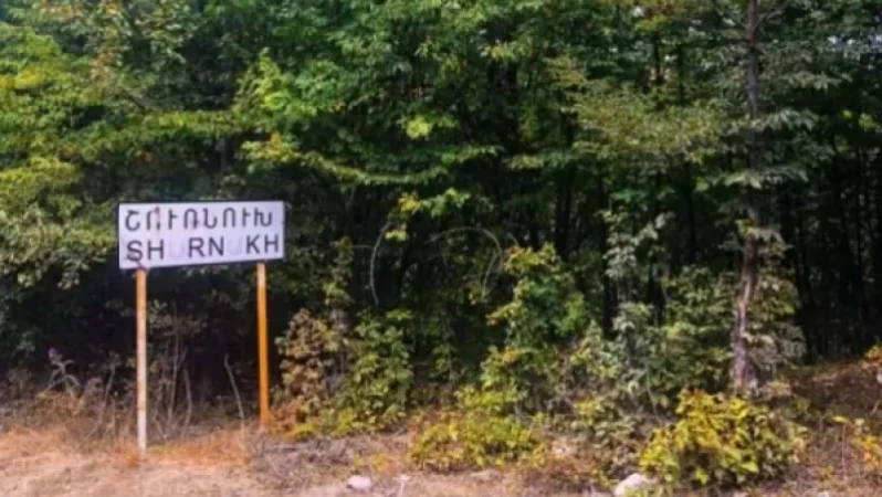 Ադրբեջանցի զինվորներին մեր գյուղերի մոտից հեռացնելու հիմքում պետք է դնել մարդու իրավունքների պաշտպանությունը․ ՄԻՊ