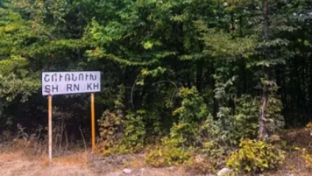 Ադրբեջանցի զինվորներին մեր գյուղերի մոտից հեռացնելու հիմքում պետք է դնել մարդու իրավունքների պաշտպանությունը․ ՄԻՊ