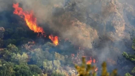 Հրդեհ Ադրբեջանում․ կրակի մարման համար ներգրավվել են ուղղաթիռներ