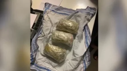 ՏԵՍԱՆՅՈՒԹ․ Հայտնաբերվել են մաքսային հսկողությունից թաքցված 1032 գրամ ընդհանուր քաշով ոսկյա զարդեր