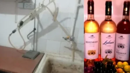 Կասեցվել է գինու և պահածոների արտադրամասերի արտադրական գործունեությունը